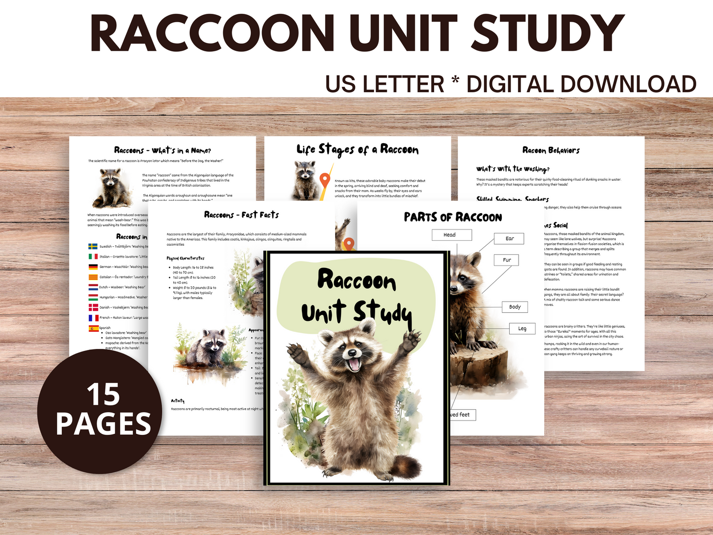 A colorful graphic showcasing raccoon forest animals, accompanied by text highlighting nocturnal animal activities and themed lesson ideas for an engaging animal unit study with detailed lesson plans for fall learning.