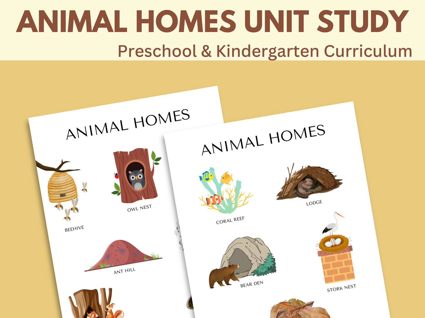 ANIMAL HOMES UNIT STUDY
