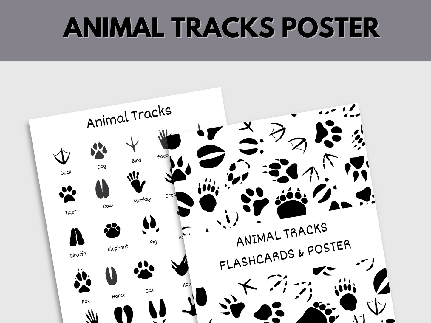 Printable Animal Tracks Flashcards