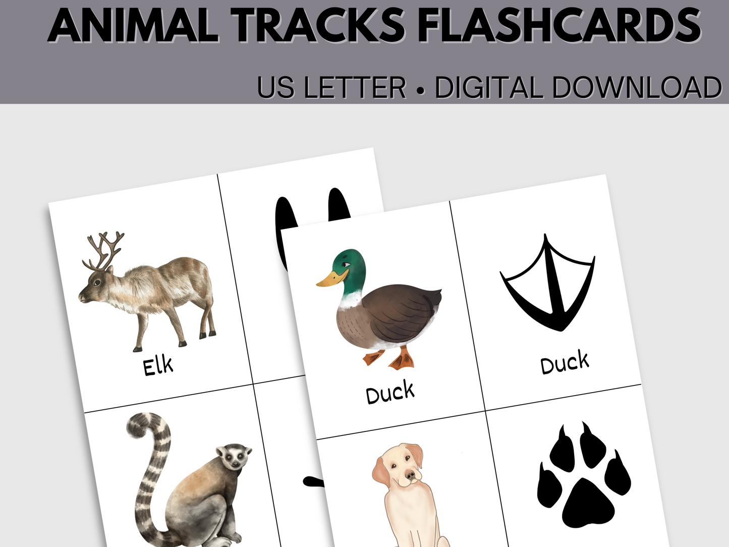 Printable Animal Tracks Flashcards
