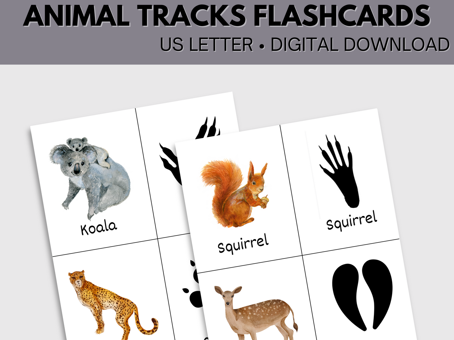 Printable Animal Tracks Flashcards