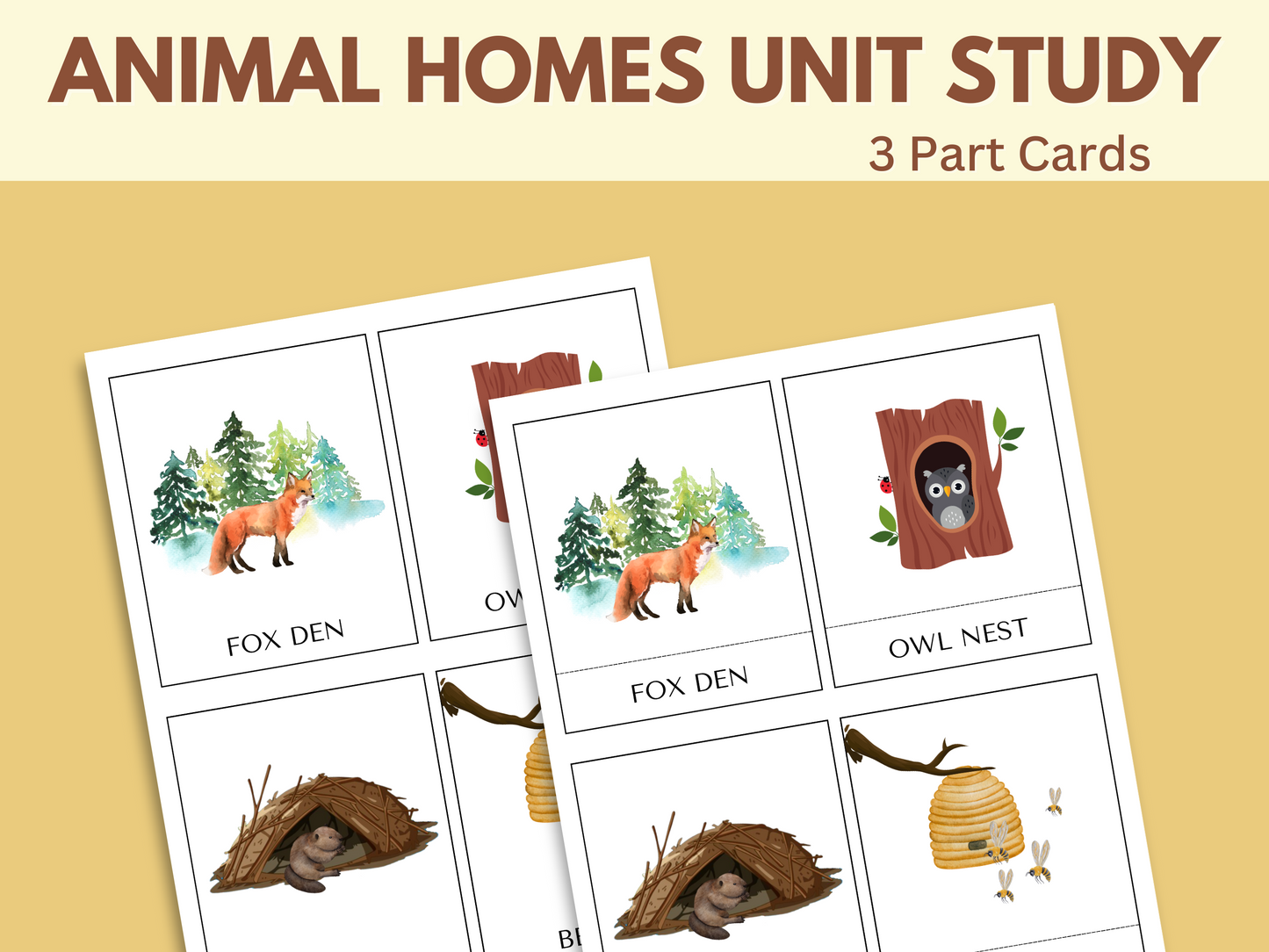 ANIMAL HOMES UNIT STUDY