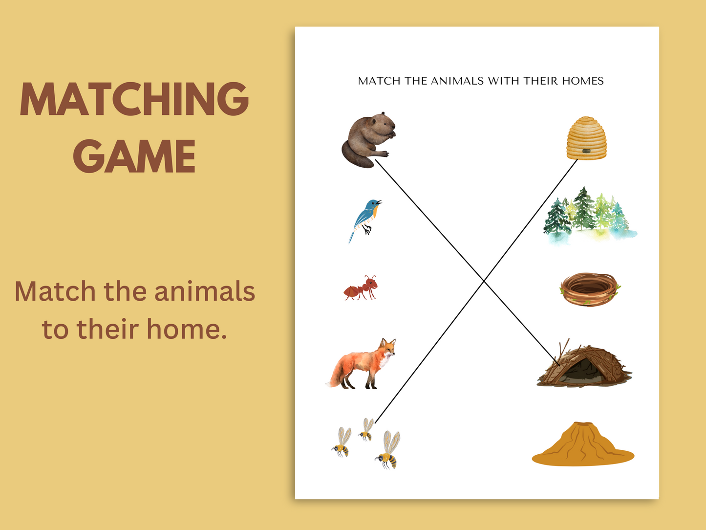 ANIMAL HOMES UNIT STUDY