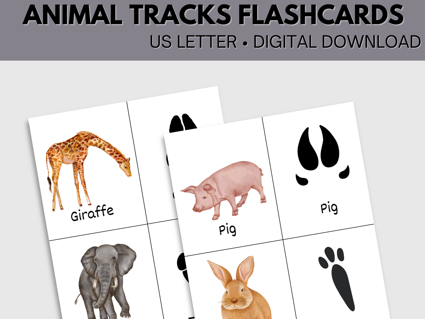 Printable Animal Tracks Flashcards