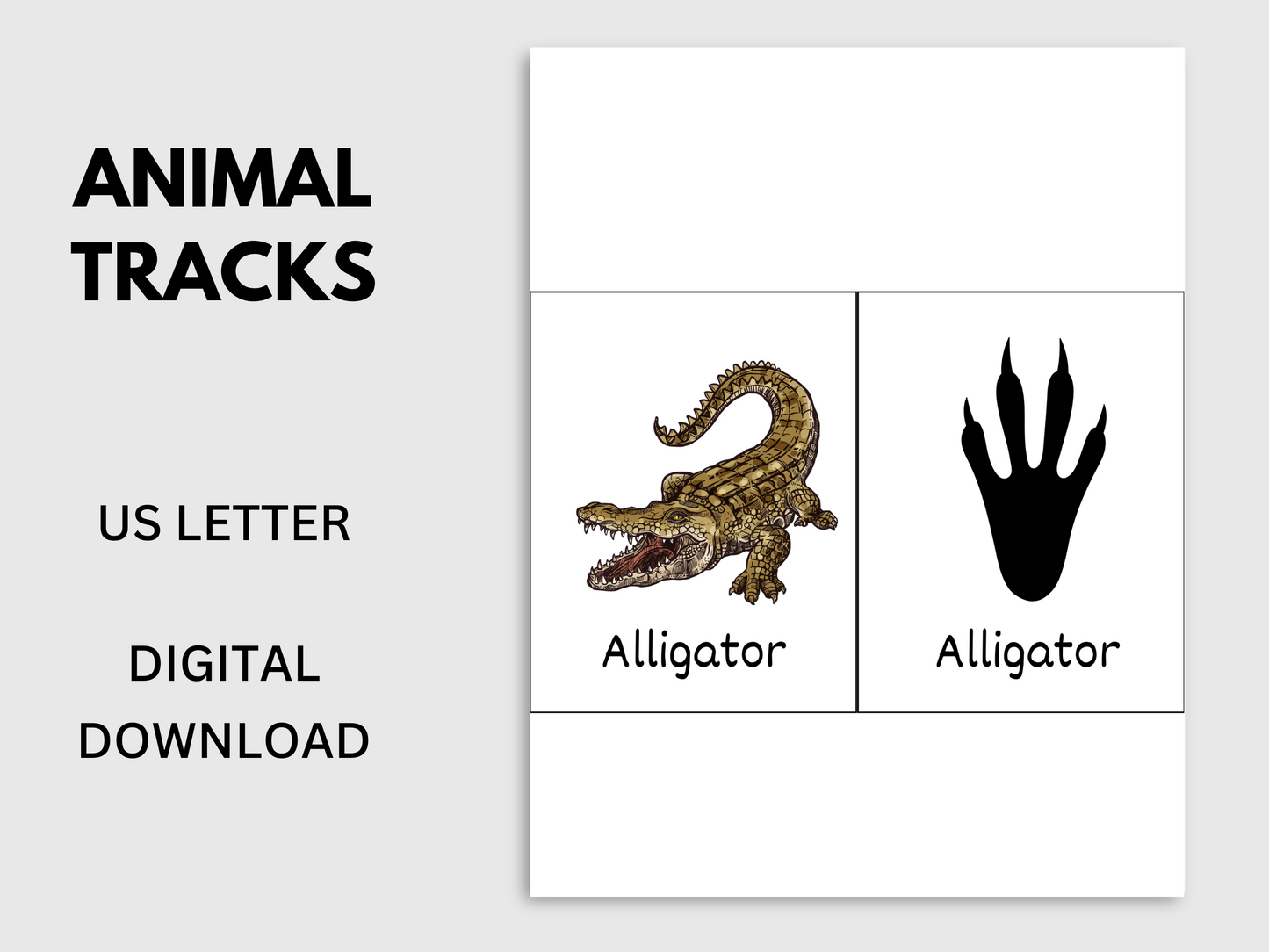 Printable Animal Tracks Flashcards