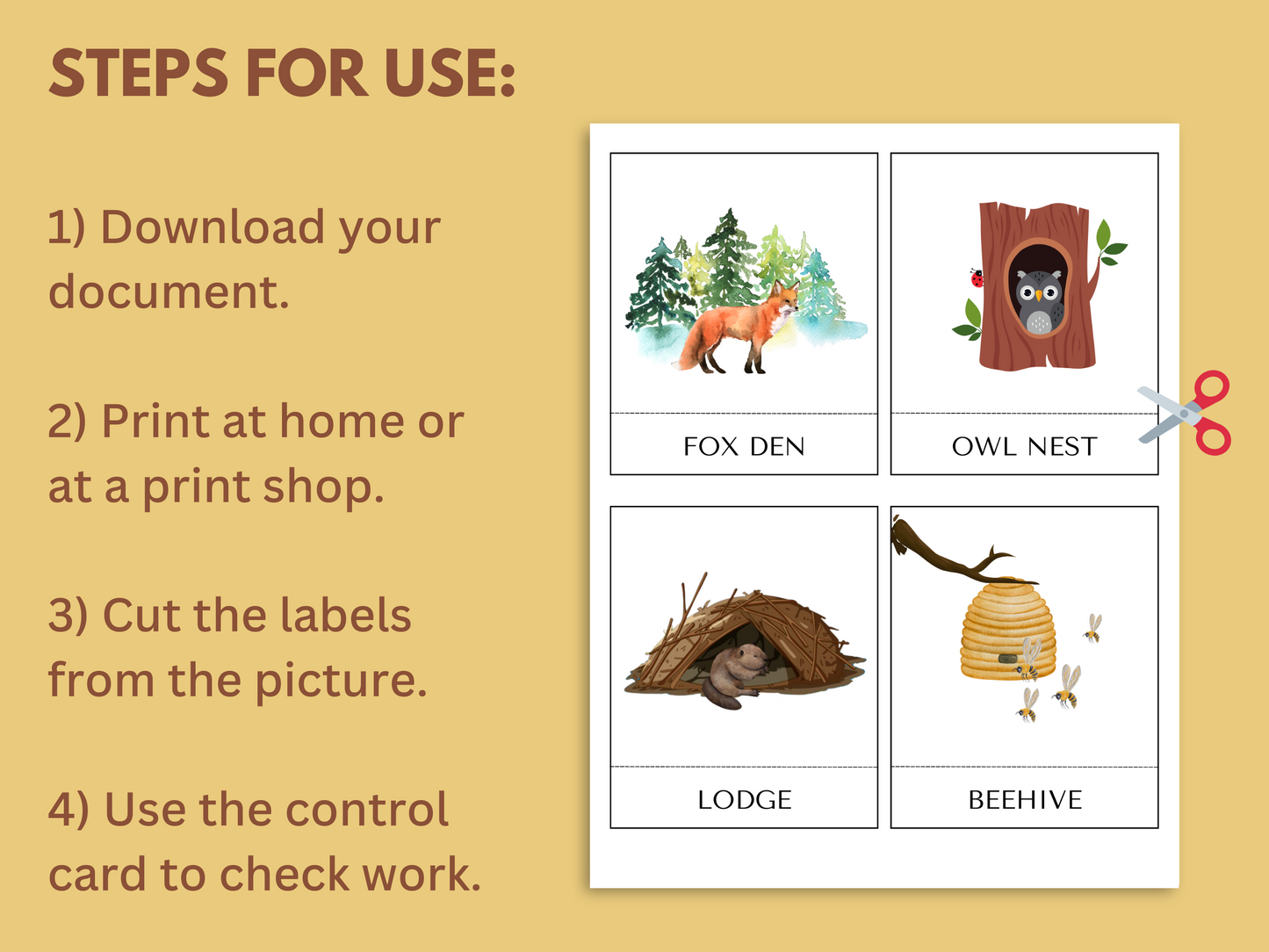 ANIMAL HOMES UNIT STUDY
