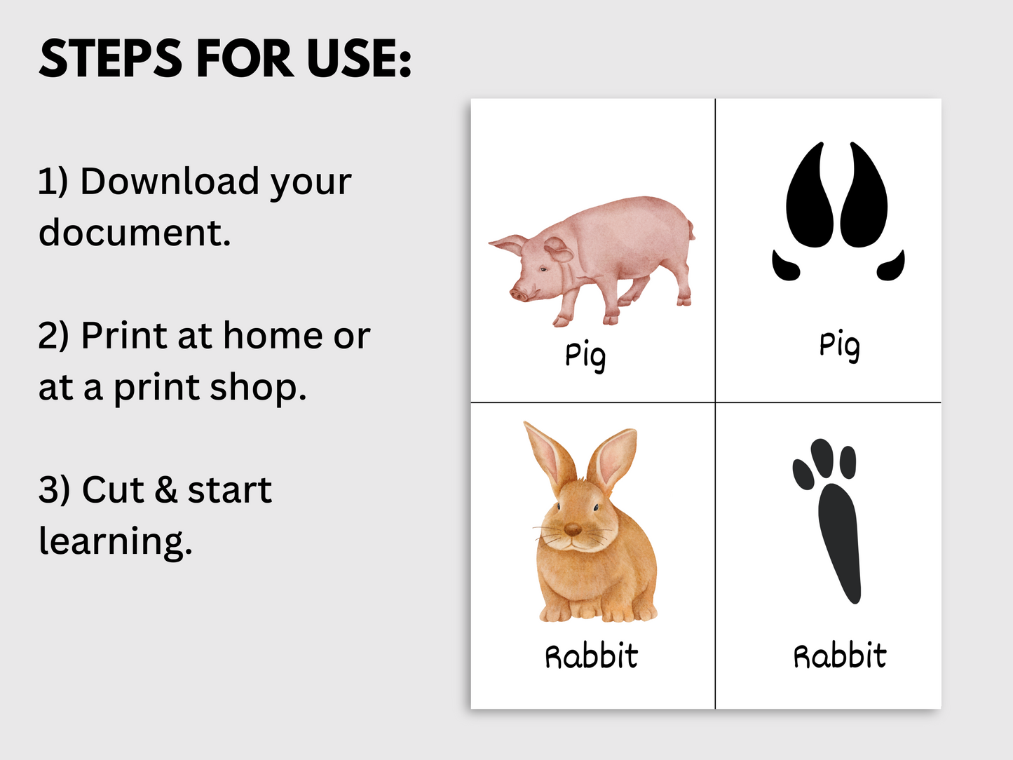 Printable Animal Tracks Flashcards