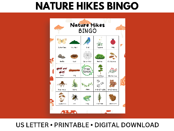 Bingo Camping Worksheets