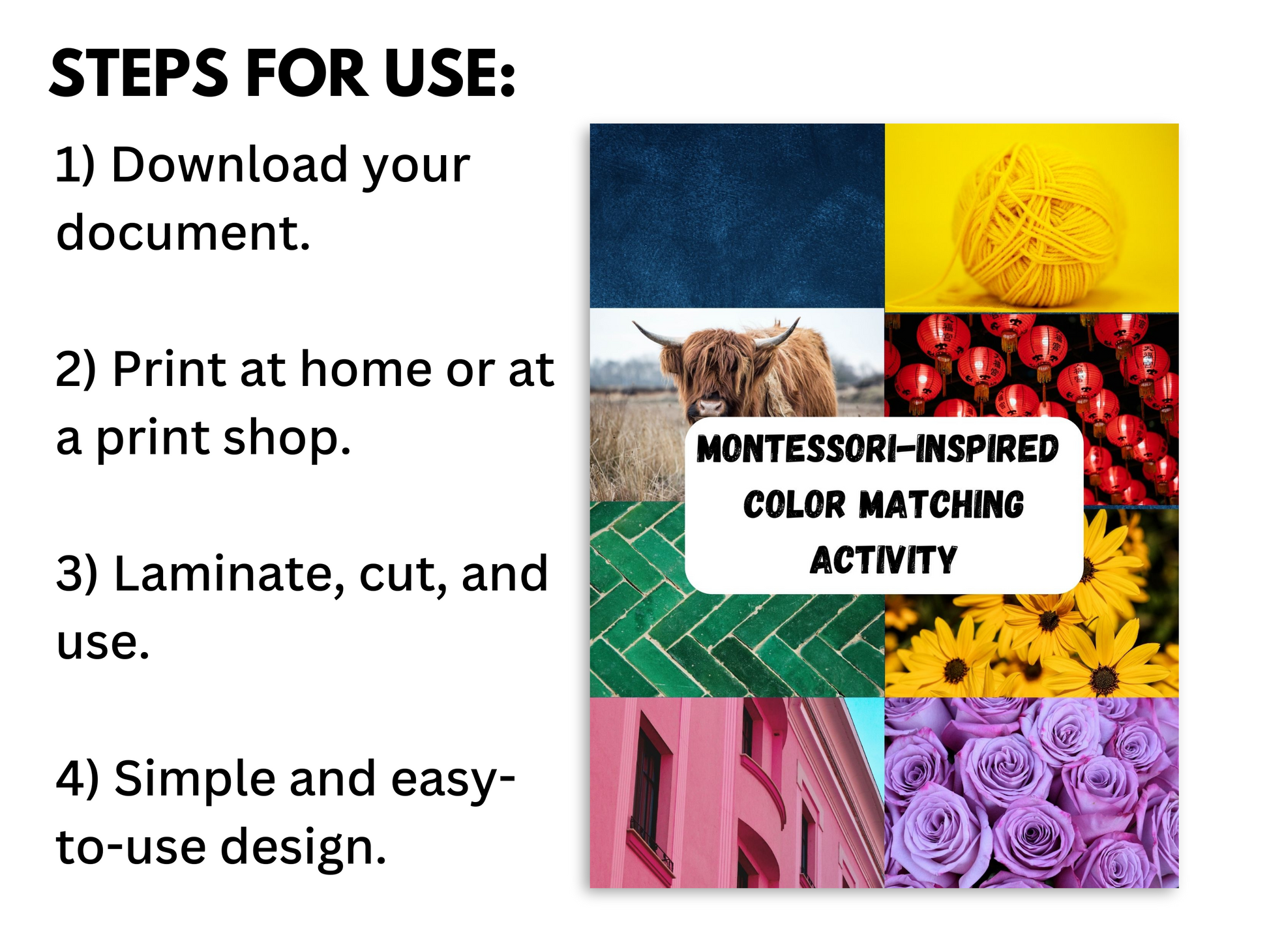 4 steps on how to use the color recognition activies with the cover photo shown.