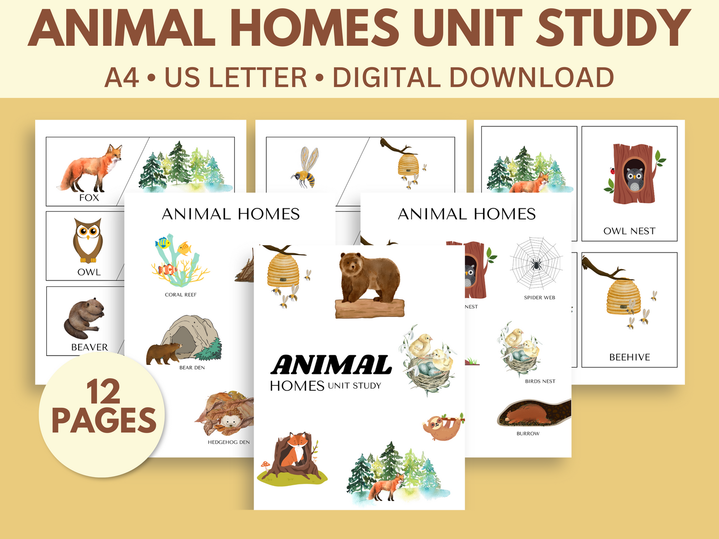 ANIMAL HOMES UNIT STUDY