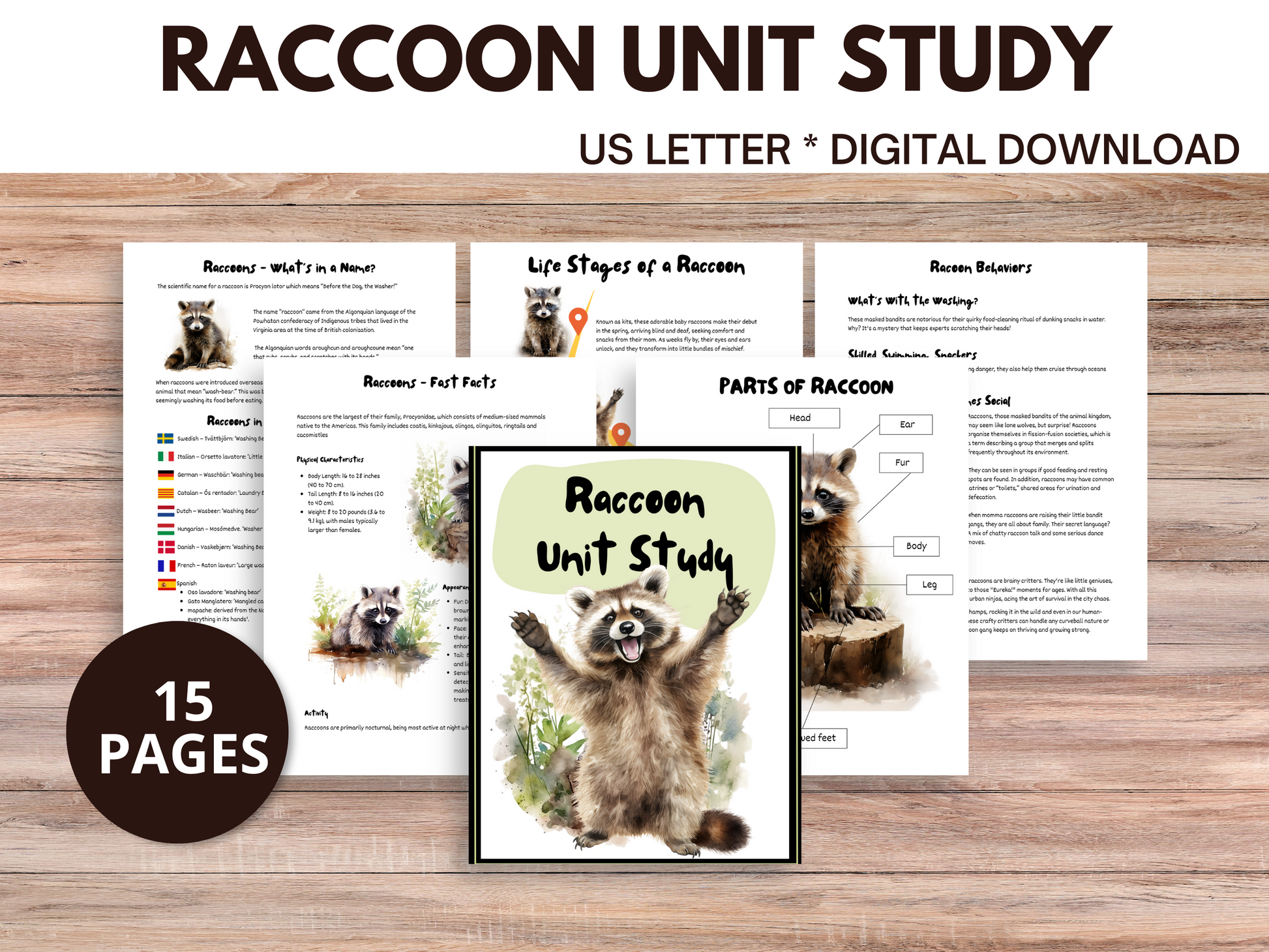 A colorful graphic showcasing raccoon forest animals, accompanied by text highlighting nocturnal animal activities and themed lesson ideas for an engaging animal unit study with detailed lesson plans for fall learning.


