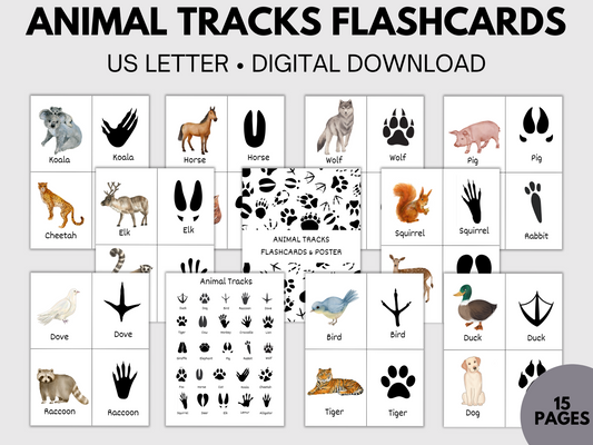 Printable Animal Tracks Flashcards