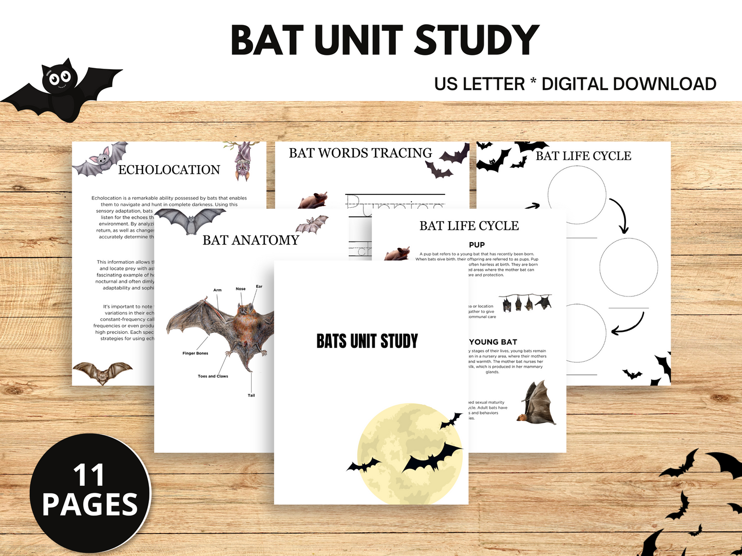 Bat printables unit study