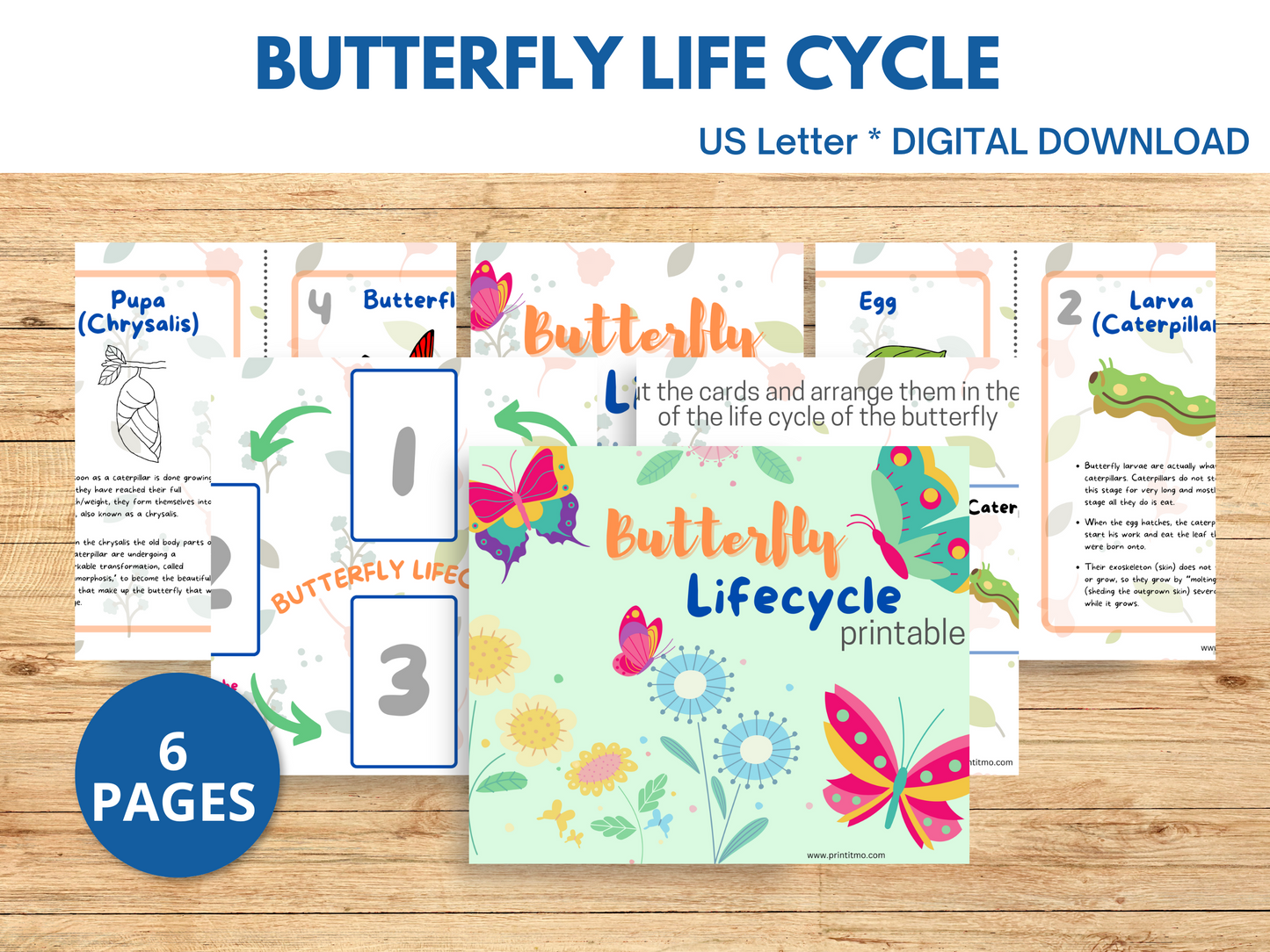 Butterfly Life Cycle For Kids