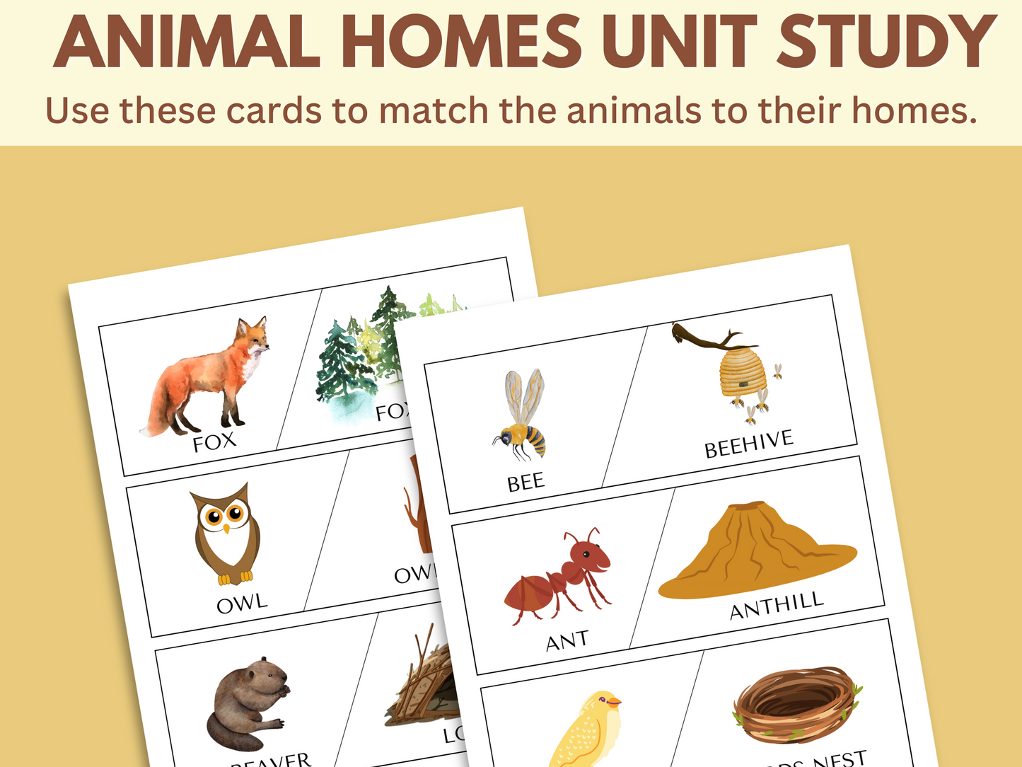 ANIMAL HOMES UNIT STUDY