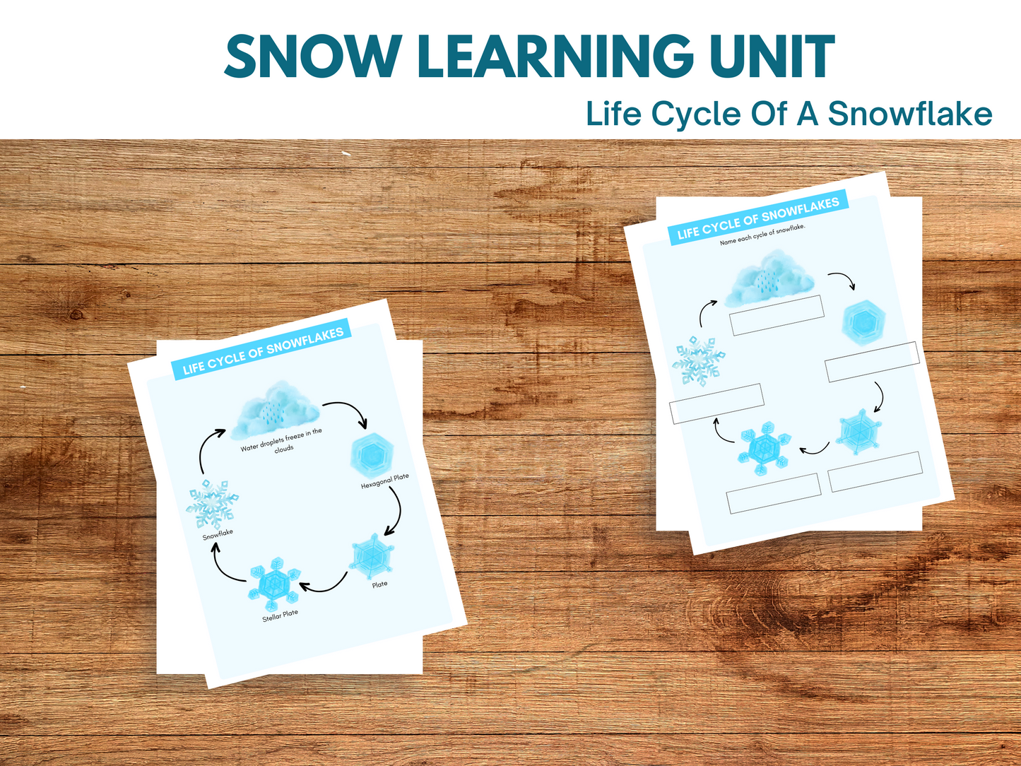 Snow Learning Unit