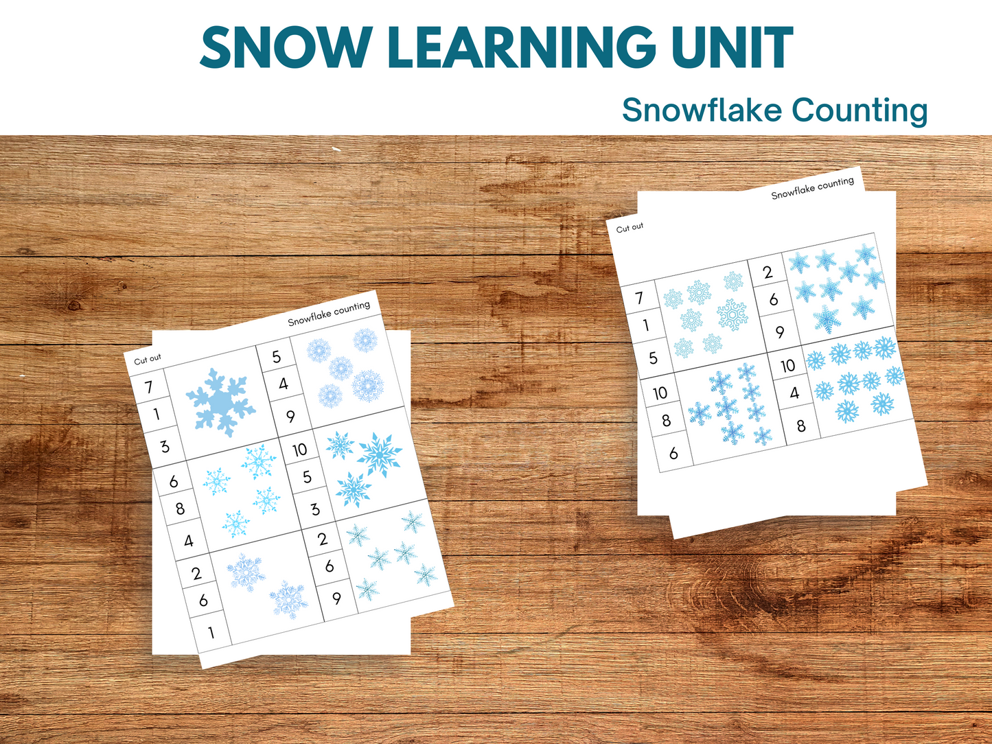 Snow Learning Unit