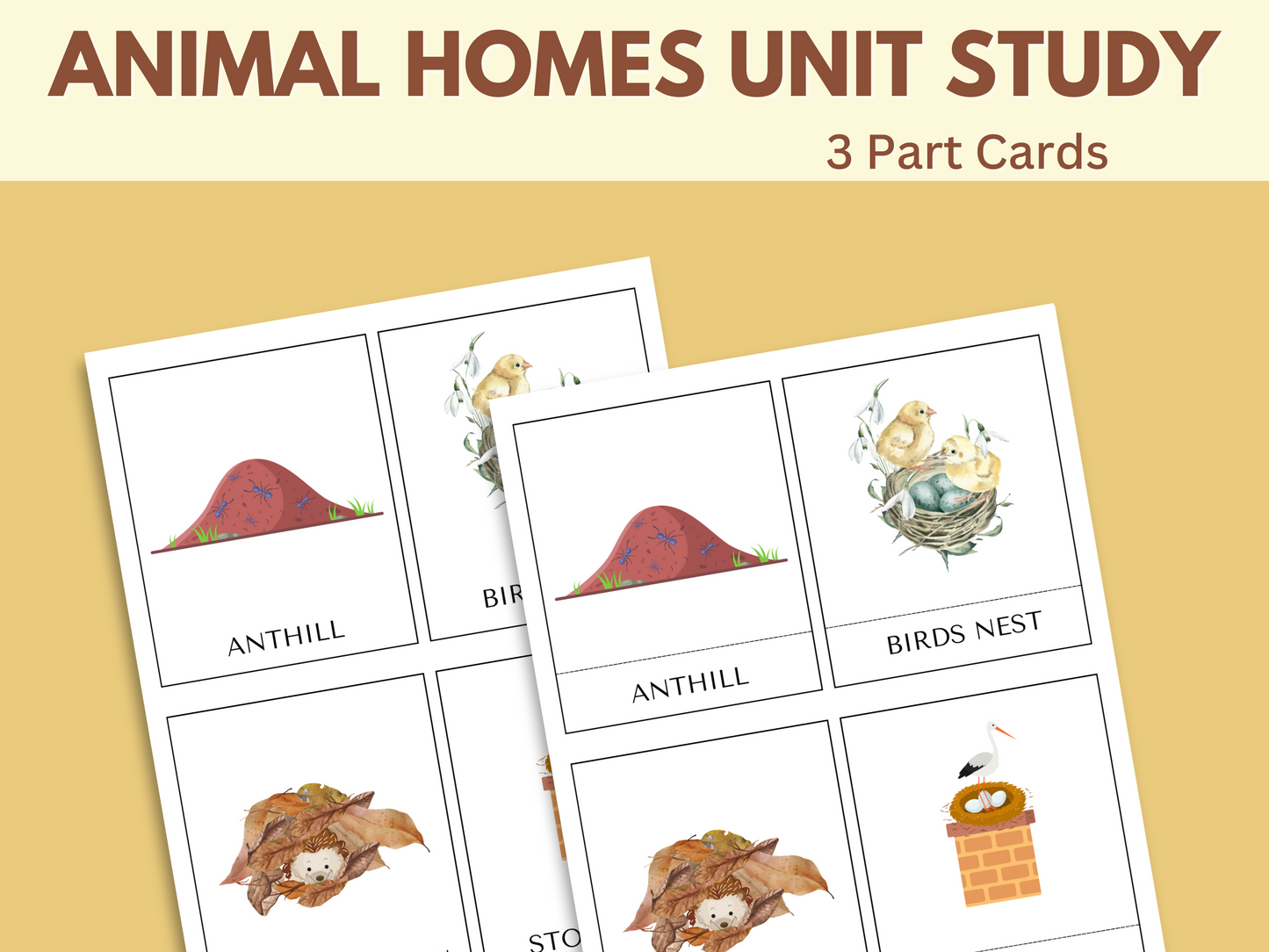 ANIMAL HOMES UNIT STUDY