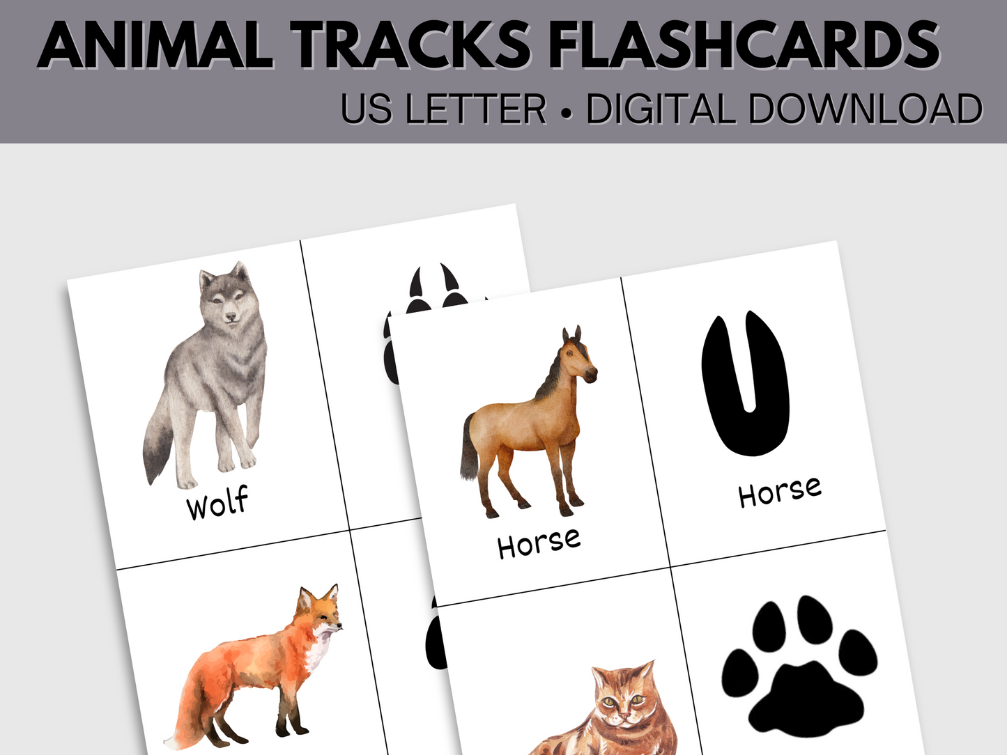 Printable Animal Tracks Flashcards