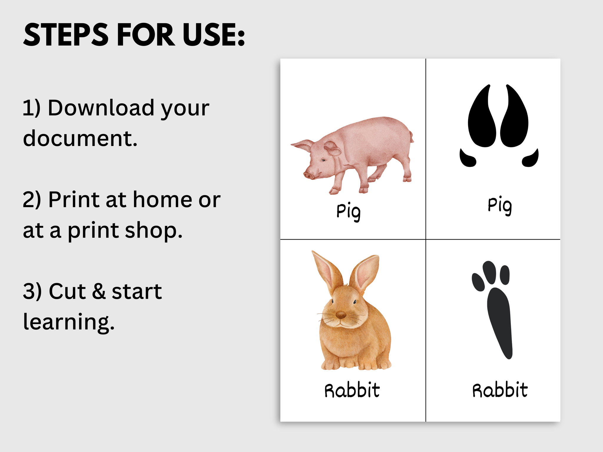 Printable Animal Tracks Flashcards – Print It Mo