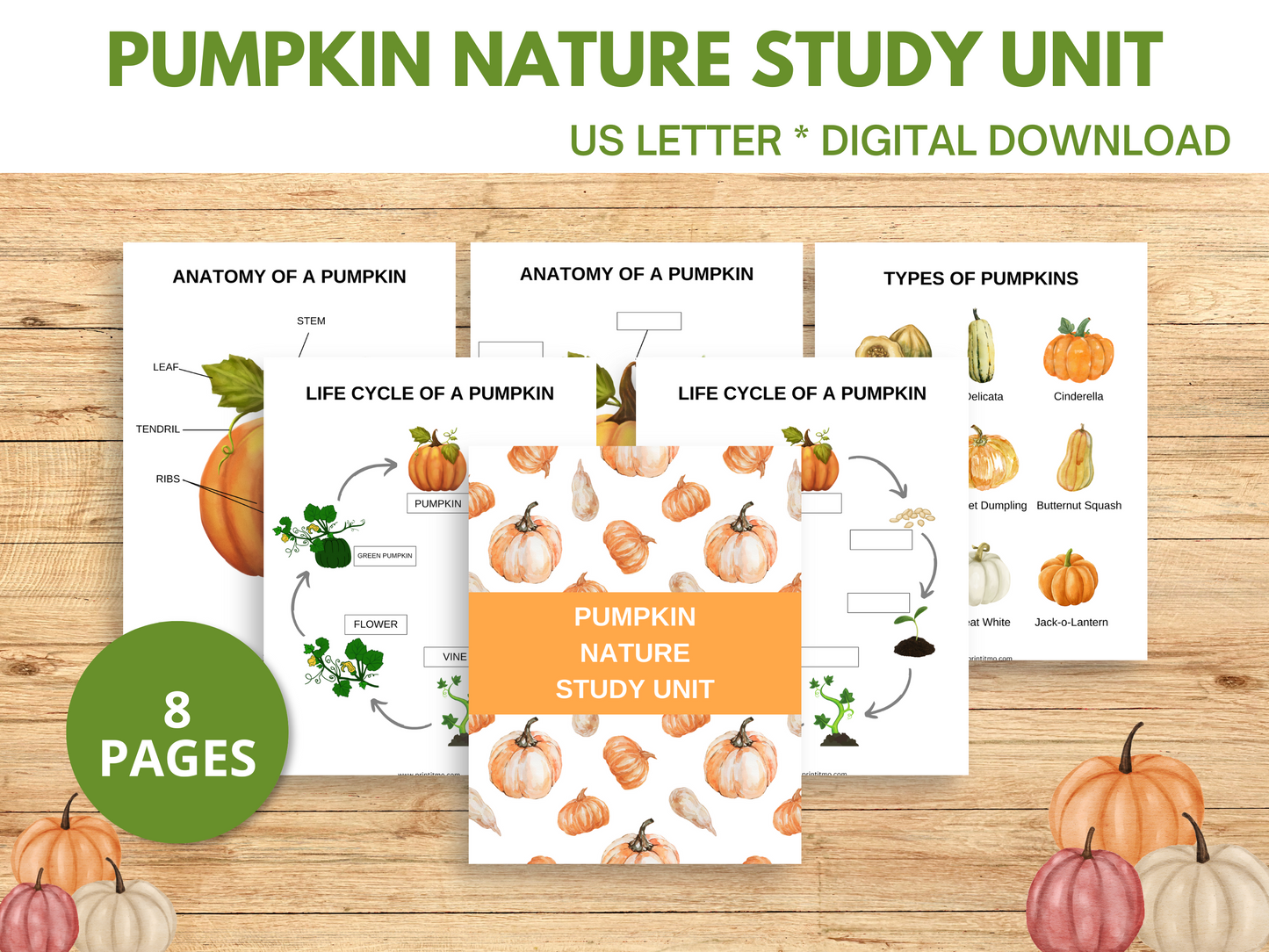 Pumpkin Nature Unit Study