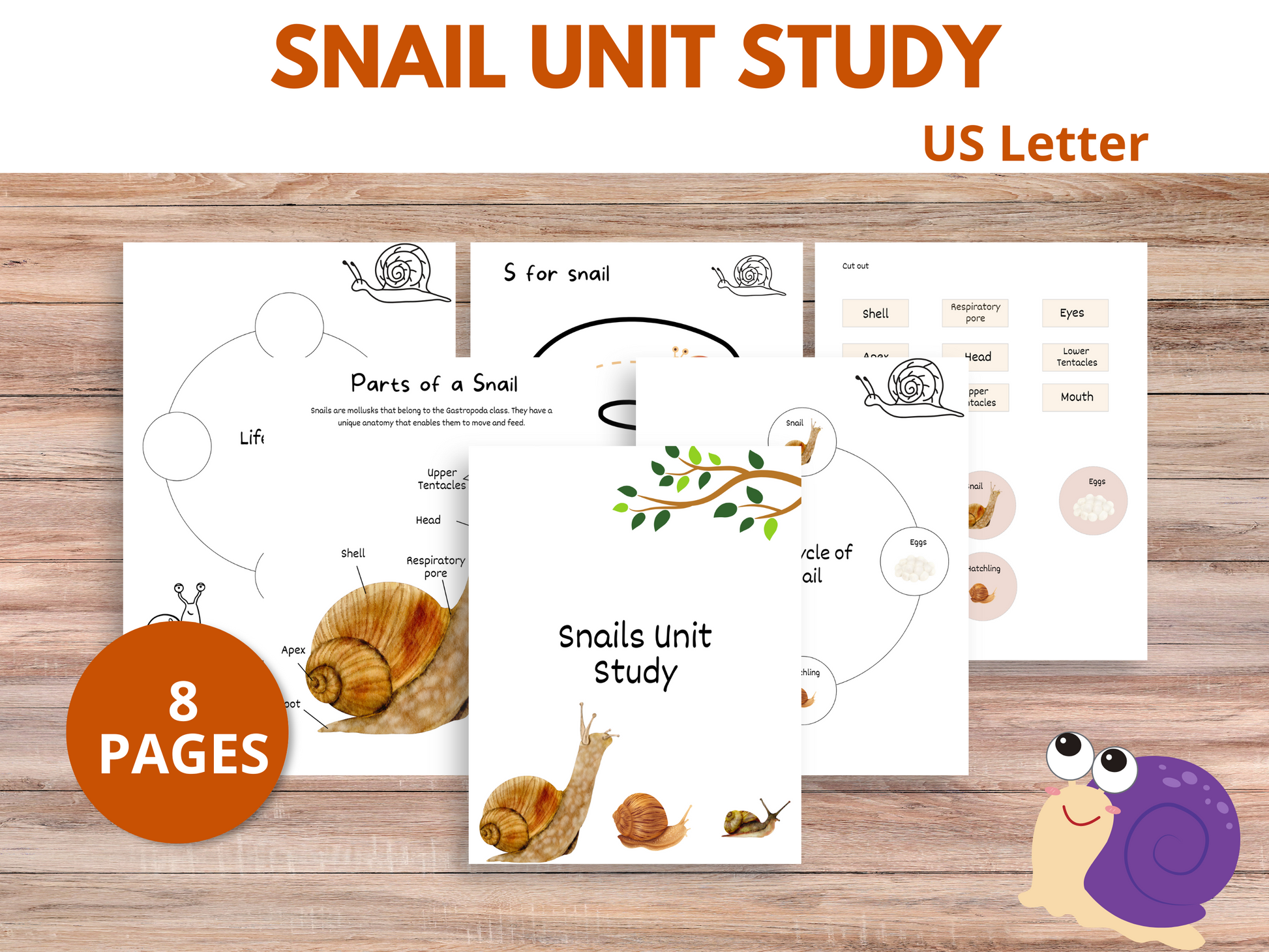 This printable snail unit study features elementary unit study ideas, spring activities for kids, insect labeling, and a detailed snail lesson for hands-on learning.