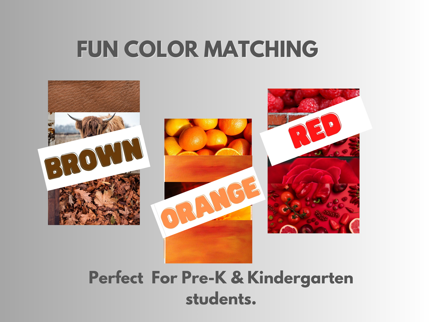 How to use the color matching activity.  Show pictures of the color brown, orange and red.